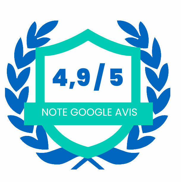 badge google 2